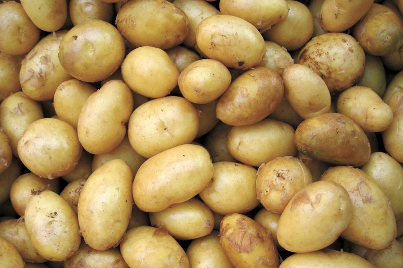 Creamer Potatoes Are The Cream Of The Crop Cape Gazette