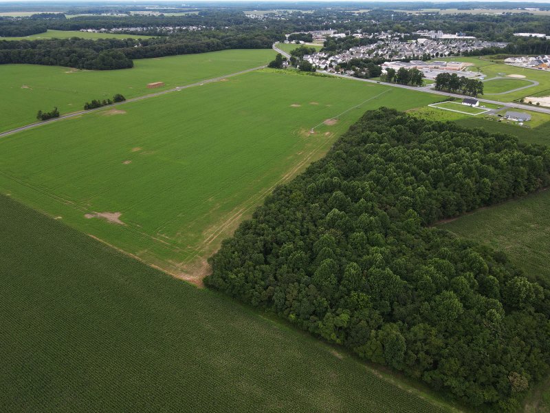 State officials with the Preliminary Land Use Service conducted a review of a proposed 385-unit development on Shingle Point and Harbeson roads in Milton Dec. 2. The developers of the proposed Carey Farm development intend to seek to annex the land into the Town of Milton. This aerial photograph shows where Scarlet Oaks and Carey Farm meet along Shingle Point Road. NICK ROTH PHOTO