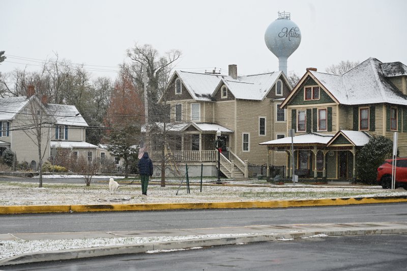 Dogs must be walked in all weather. NICK ROTH PHOTO