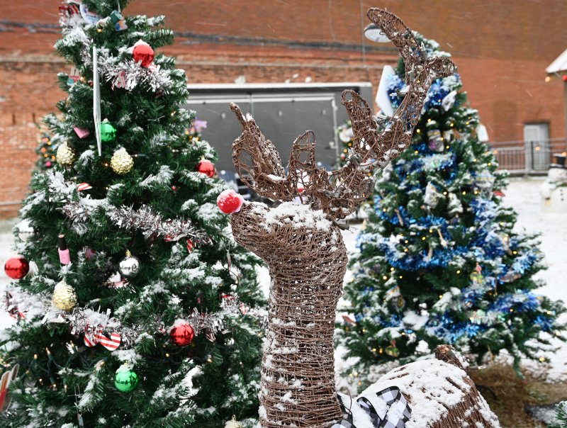 Rudolph is loving the weather in Milton. NICK ROTH PHOTO