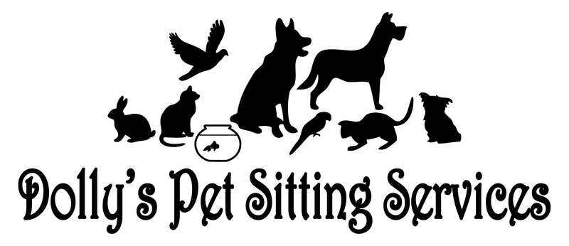  animal-sitting service