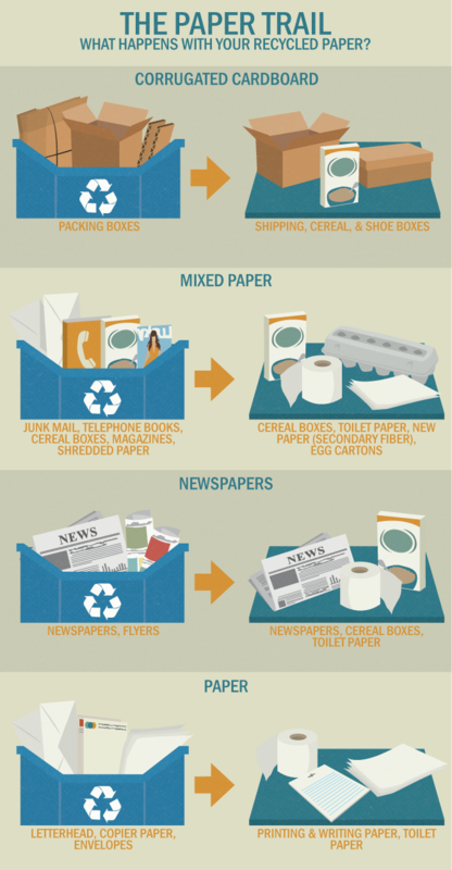 Is Shredded Paper Recyclable? - Earth911