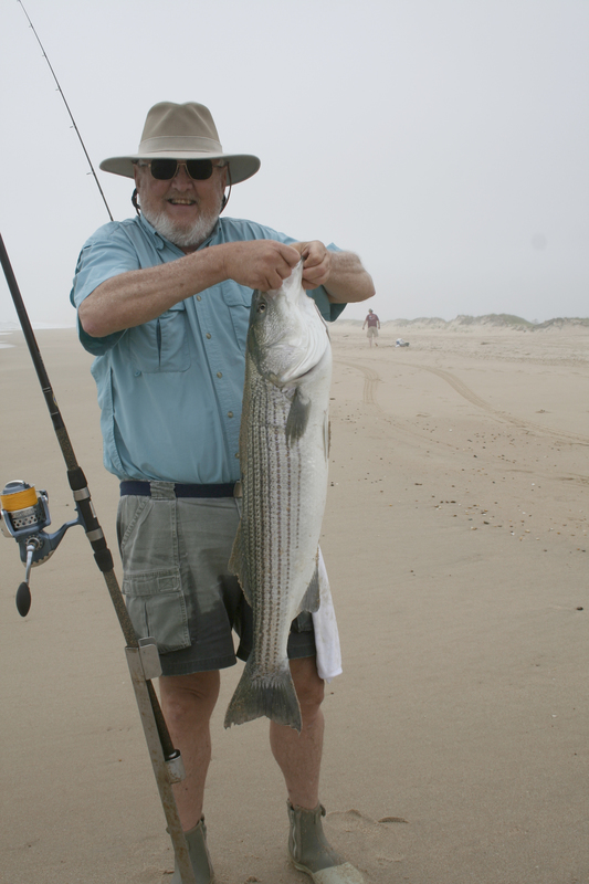 Delaware has new striped bass regulations