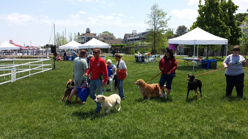 Pooches in the Park returns to Lewes Canalfront Park May 30 | Cape Gazette