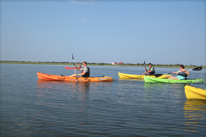 Seashore State Park offers eco-tours by kayak through mid-August
