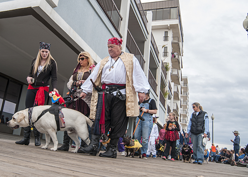 Sea Witch Festival continues with Best Costumed Dog Parade Cape Gazette