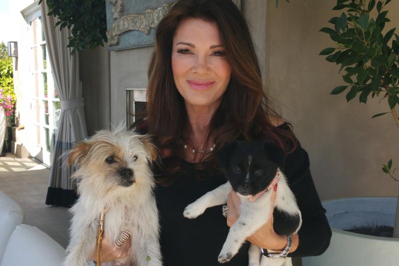Lisa Vanderpump stands holding the Chinese rescue dog and one of her pups in her Stop Yulin Forever efforts. COURTESY LISA VANDERPUMP