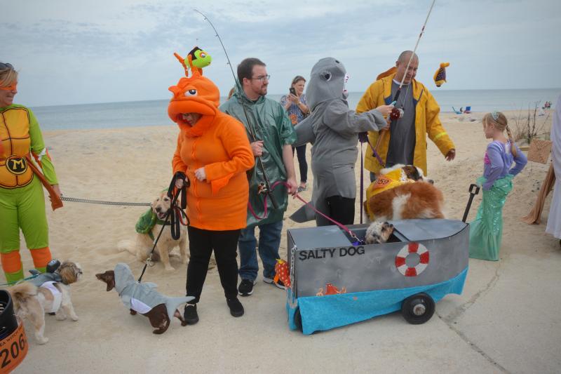 Pets on parade always a big hit at Sea Witch Festival Cape Gazette