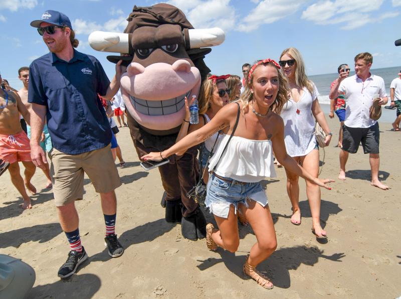 Bull makes 21st run on Dewey Beach Cape Gazette