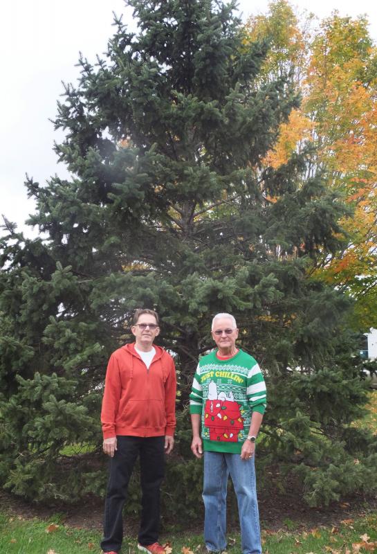 Rehoboth couple donates Christmas tree; lighting festivities set Nov