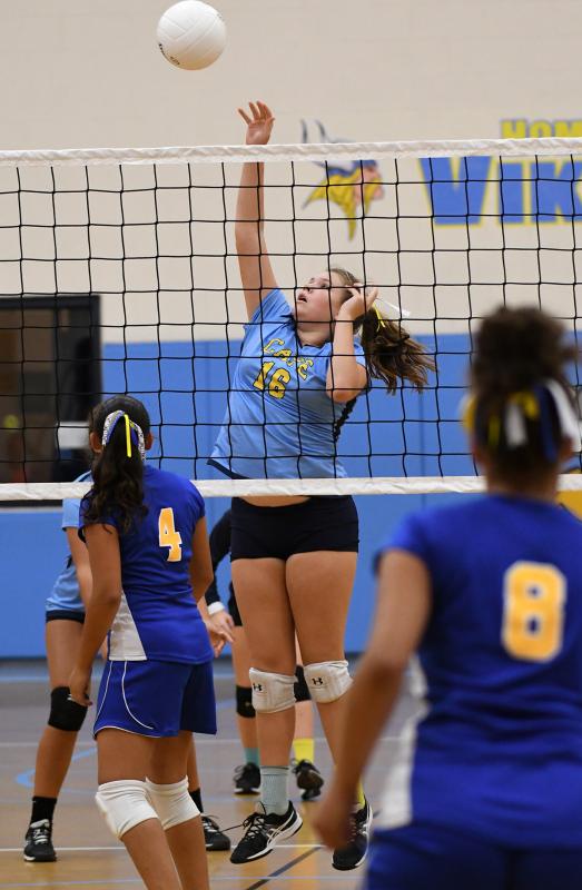 Beacon volleyball takes two from Georgetown | Cape Gazette