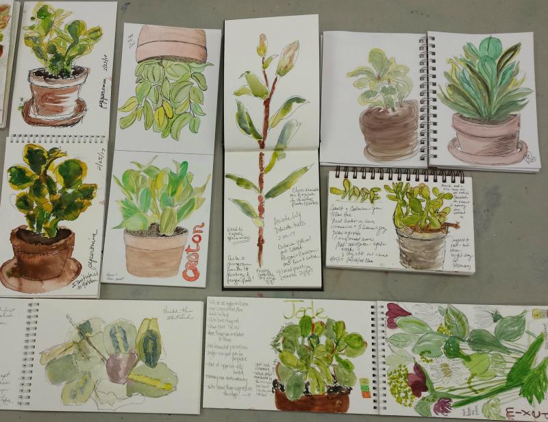 Watercolor, pen and ink class to start March 8 at Rehoboth Art League