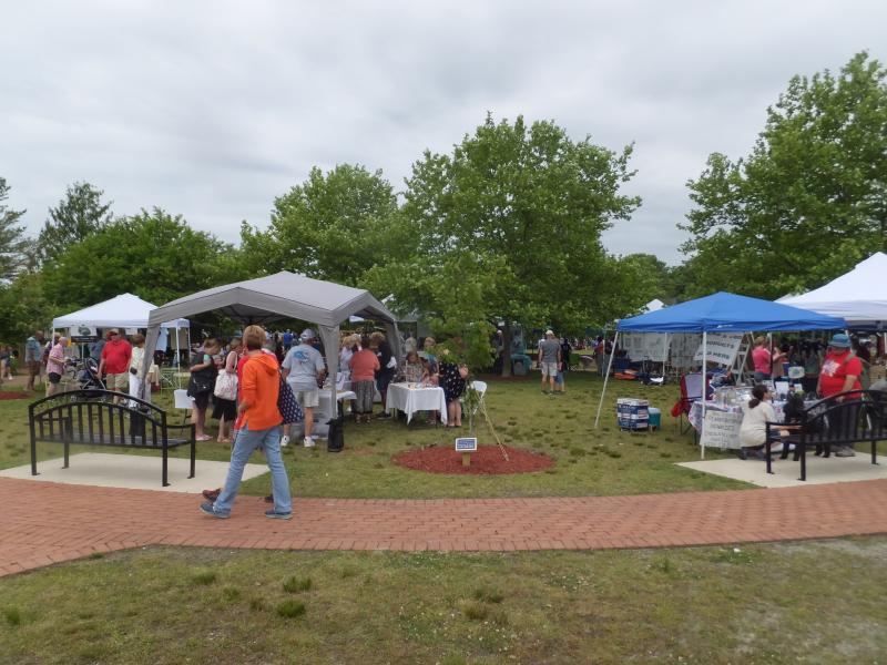 Horseshoe Crab Festival draws a crowd Cape Gazette