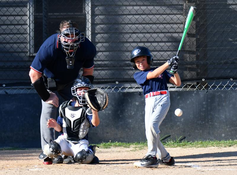 Lower Sussex snags Little League title