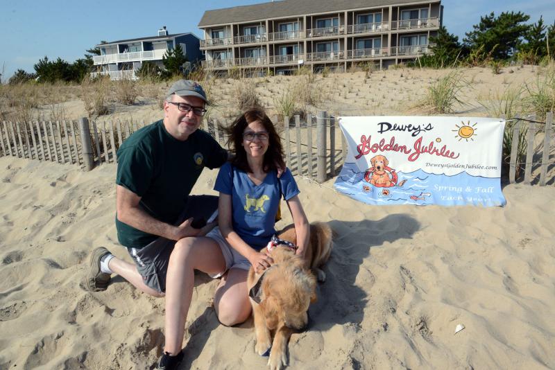 Dewey Beach holds Golden Retriever Jubilee Cape Gazette