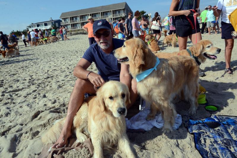 Dewey Beach holds Golden Retriever Jubilee Cape Gazette