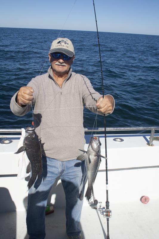 Sea bass fishing on the Grizzly