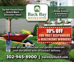 Back Bay Mulch