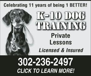 K-10 Dog Training