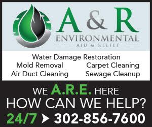 A&R Environmental