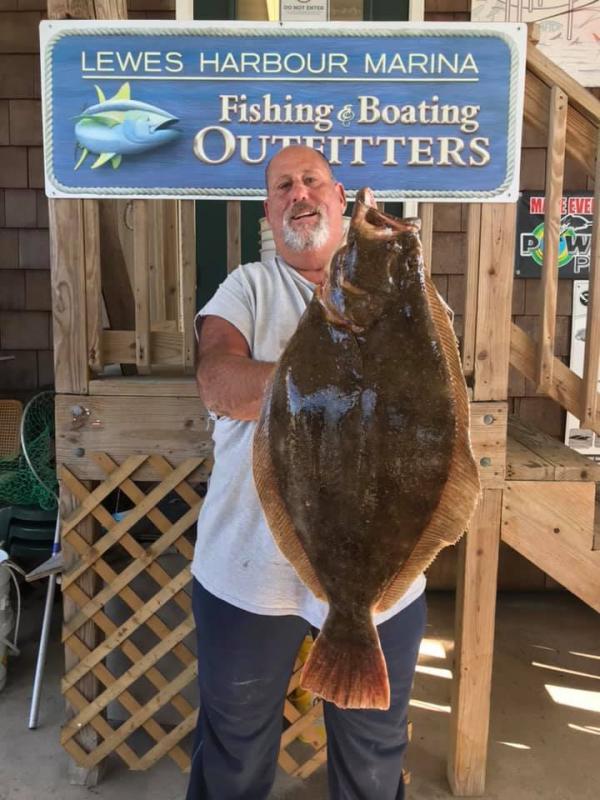 Anglers rewarded with big catches