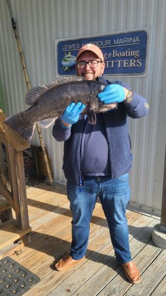 Winter Flounder, A Shore Thing - The Fisherman