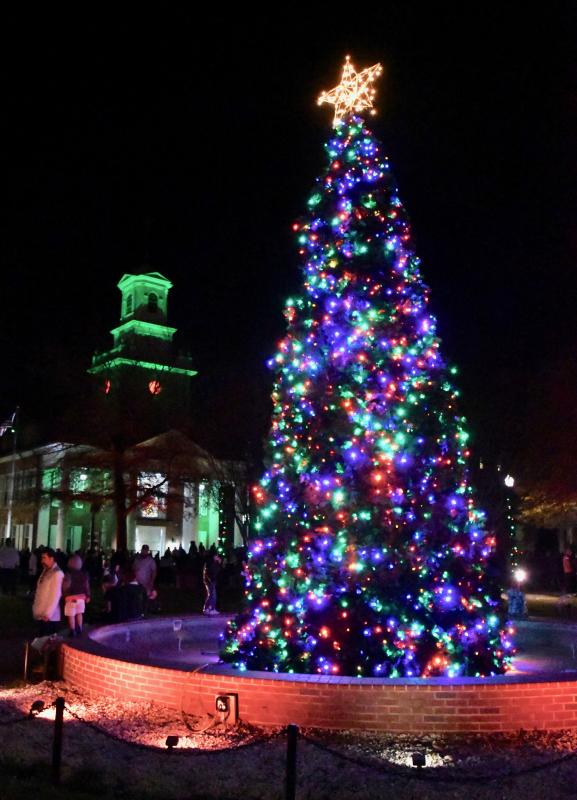 Georgetown Co Christmas Lighting 2022 Christmas Lights Flood Georgetown Streets | Cape Gazette