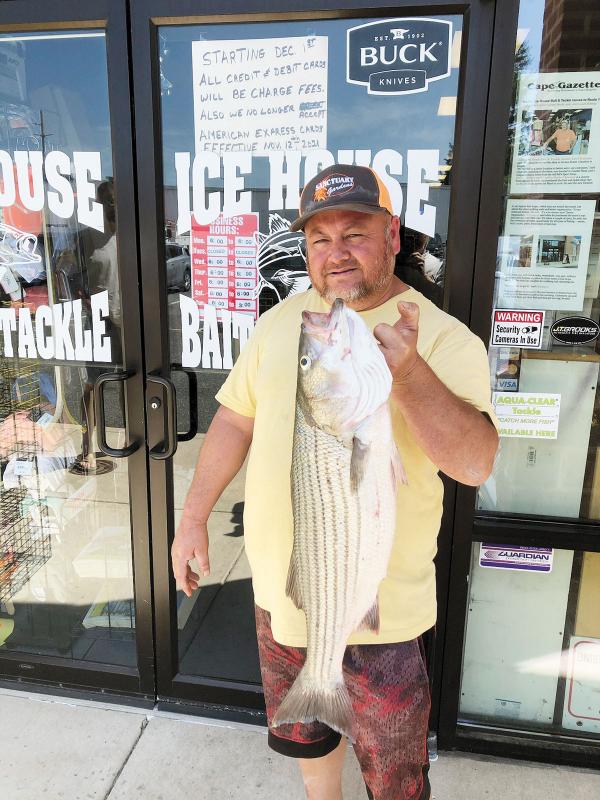 As stripers arrive earlier, commercial fishing season to shift  Milford  LIVE! – Local Delaware News, Kent and Sussex Counties