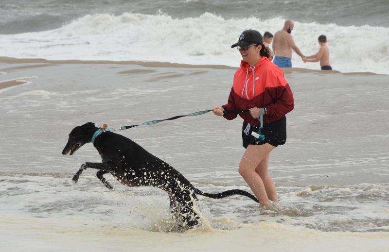Annual Greyhounds Reach the Beach set for Oct. 59 Cape Gazette