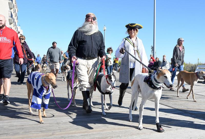 Perfect weekend for annual Greyhounds Reach the Beach Cape Gazette