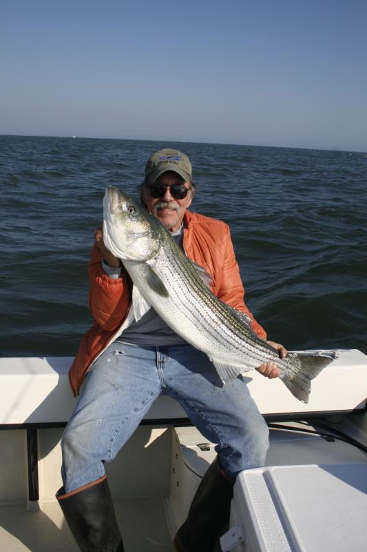 Thoughts on striped bass
