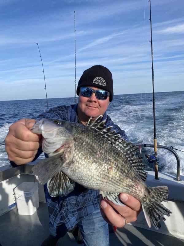 How to Increase the Survival Rate for Black Sea Bass After Release - Hook,  Line and Science
