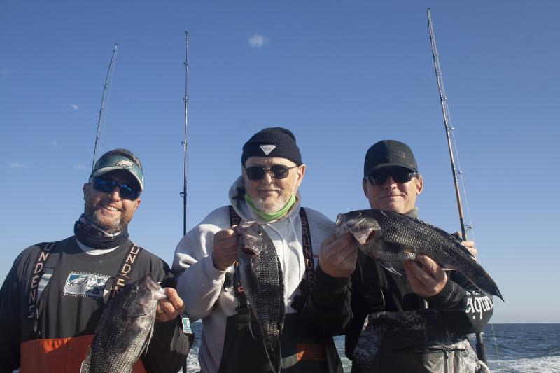 Lots of Limits On Opening Day of Sea Bass - Ocean City MD Fishing