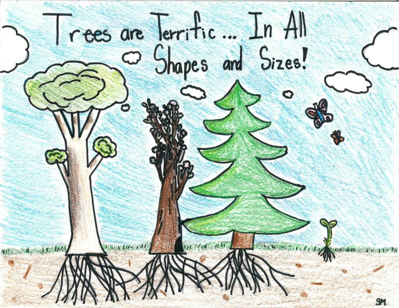 Sage McMahon’s poster earned the fifth-grade Sussex County prize in the Delaware Forest Service’s annual contest.