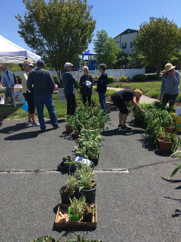 Villages of Five Points Butterfly Club sets May 20 plant sale