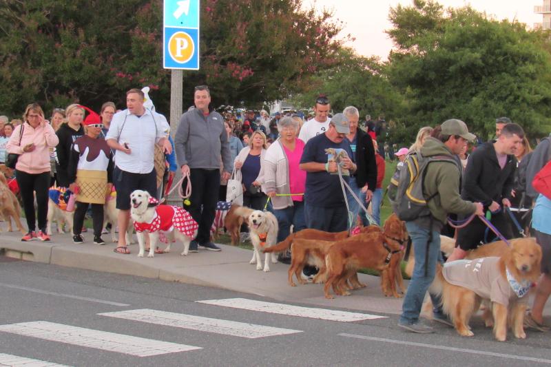 Celebrating Golden Jubilee in Dewey Beach: A Comprehensive Travel Guide