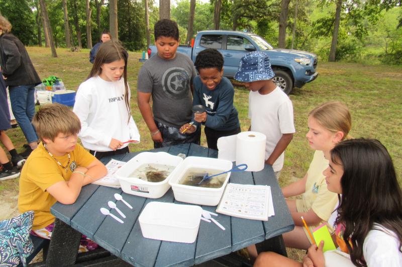 Rehoboth Elementary scientists study Silver Lake | Cape Gazette