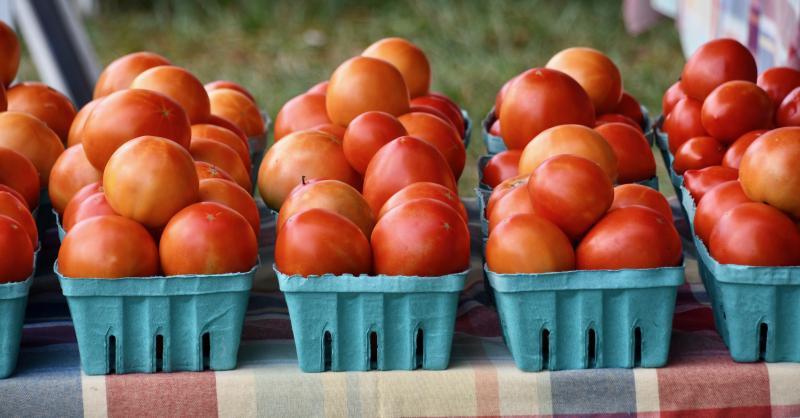 Lewes farmers market to host tomato festival Aug. 5 Cape Gazette