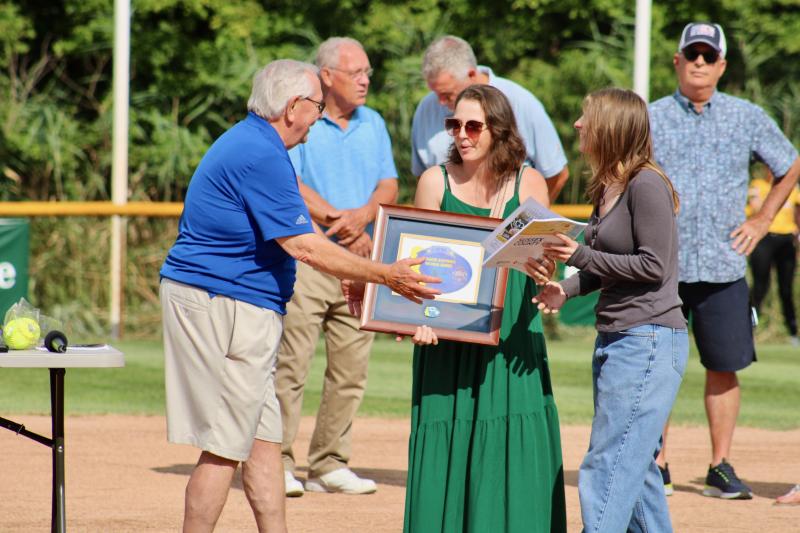 Lower Sussex snags Little League title