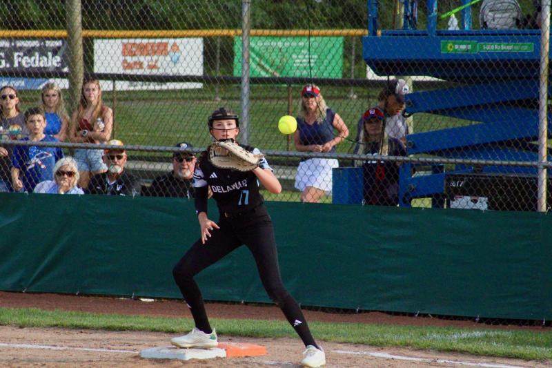 Lower Sussex snags Little League title