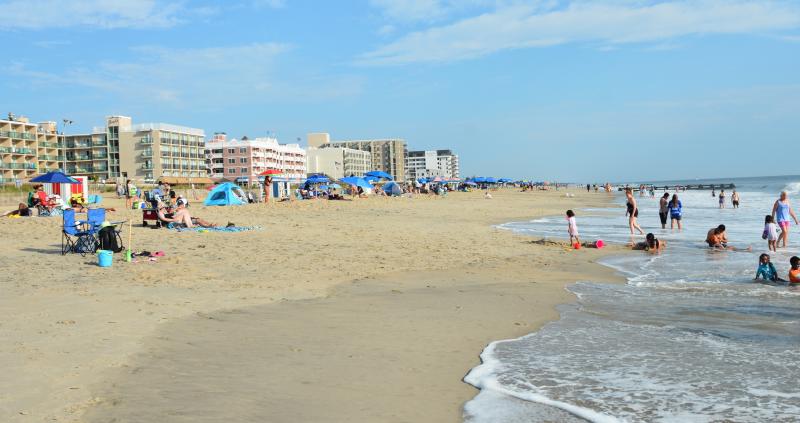 Busy Labor Day weekend for local beach patrols | Cape Gazette