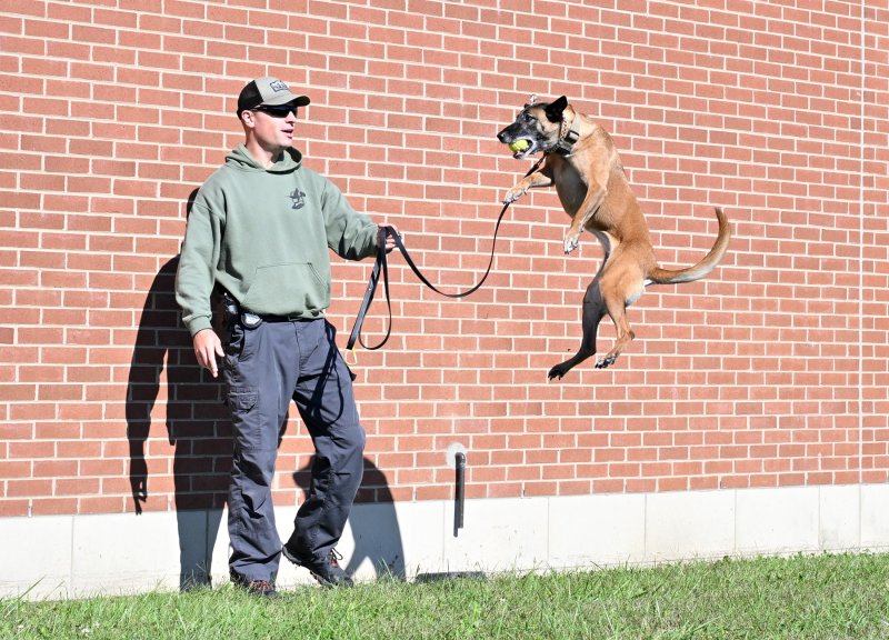 After finding an illegal substance, K-9 Viper is rewarded with a tennis ball by Cpl. Tyler Botchie.