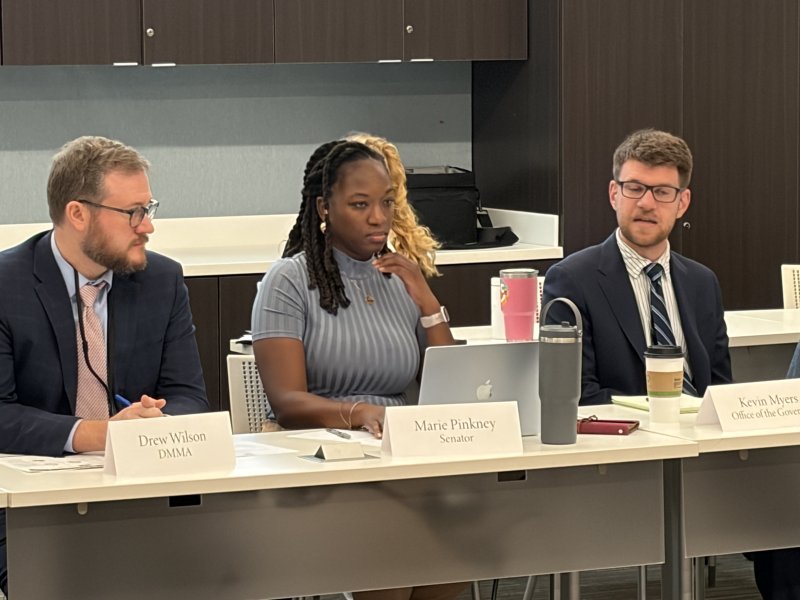Sen. Marie Pinkney, D-Bear, center, hosts a roundtable discussion with state officials, medical professionals and insurance representatives on the effects of federal Medicaid cuts on Delaware’s health industry. Pinkney is flanked by Kevin Myers, right, of Gov. Matt Meyer’s office, and Drew Wilson of the state’s Medicaid and Medicare Assistance Division. RYAN MAVITY PHOTOS