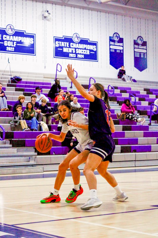 Sussex Academy freshman Barb Carneiro-Duarte battles in the paint.