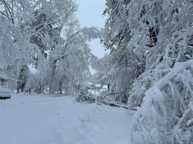 Snow drifts and fallen drives made it difficult for responders to reach their destinations.