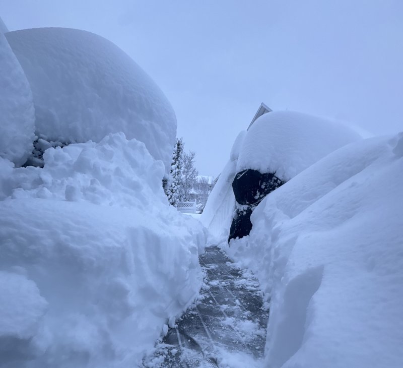 Cape Gazette reader Sara Smith took this photo to record a historic snowfall in Rehoboth Beach.
