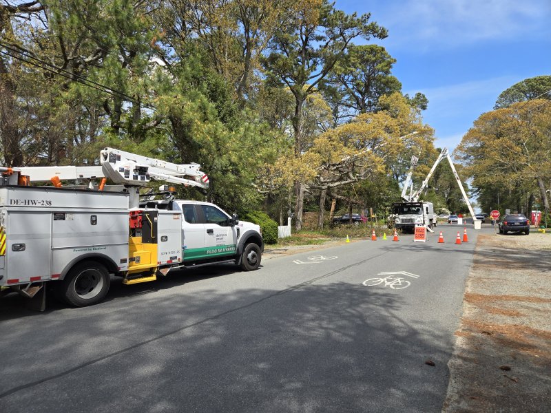 A contract worker was injured in an electrical hazard April 15, while cutting tree limbs near the intersection of 2nd Street and Henlopen Avenue in Rehoboth Beach. CHRIS FLOOD PHOTO