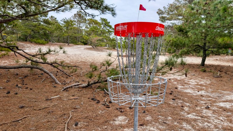 In spite of the recent severe weather, the red baskets managed to survive the winter.