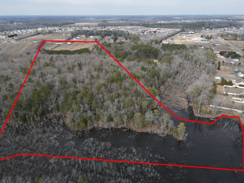 Stockley Acres is a cluster subdivision including 83-single-family lots on an 42-acre parcel on the south side of Stockley Road west of Beaver Dam Road near Georgetown. The property is mostly forest. NICK ROTH PHOTO