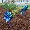 Blue pinwheels in the Zwaanendael Park garden. BILL SHULL PHOTO